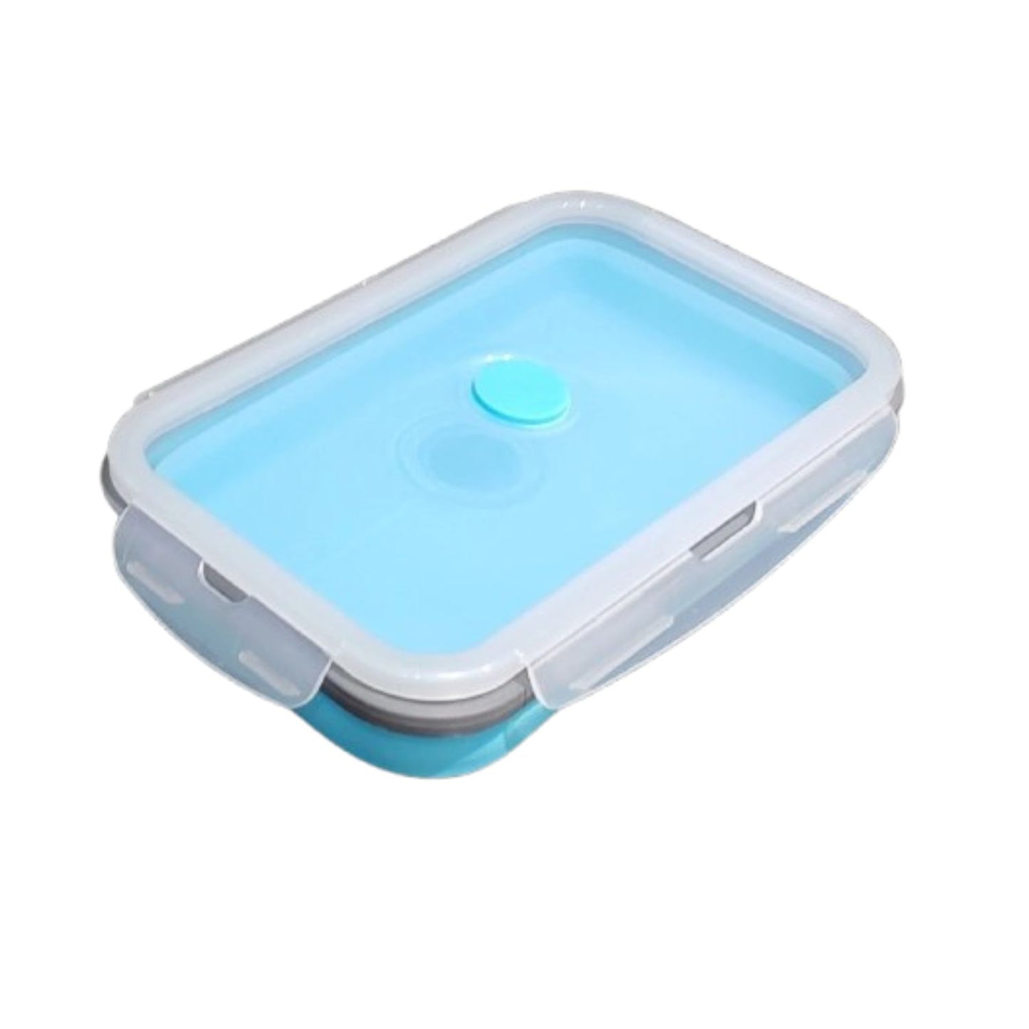 Home Collection Collapsible Silicone Food Storage and Bento Box