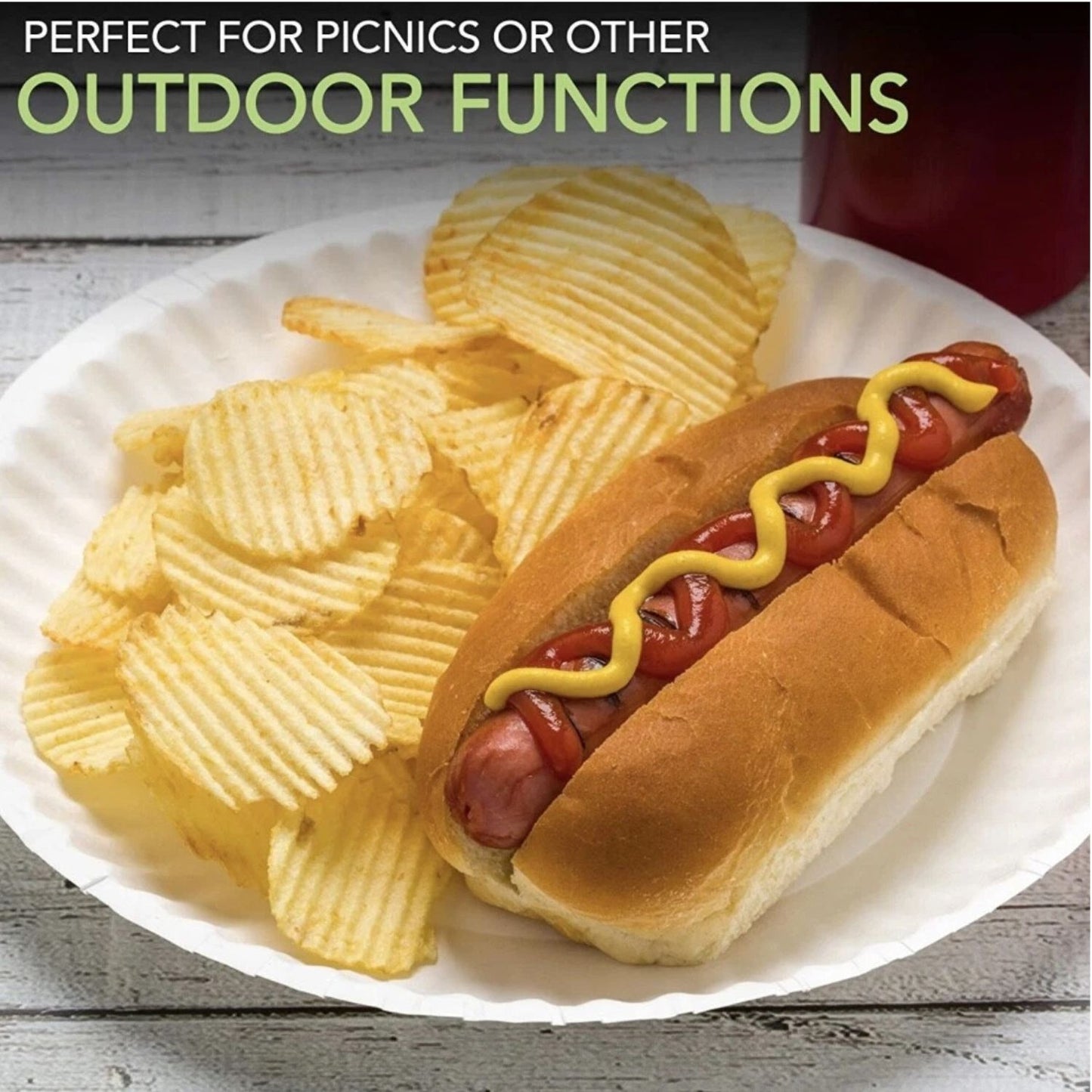 Home Collection Uncoated Disposable Paper Plates 9"