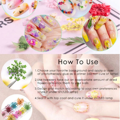 Home Collection 12Color Real Dried Flowers Nail Art Set