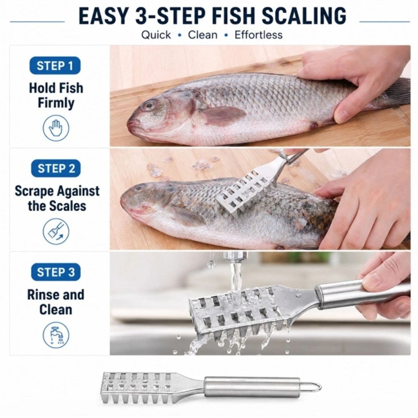 Home Collection Stainless Steel Fish Scaler Scraper Tool Seafood Scale Remover Brush Cleaner