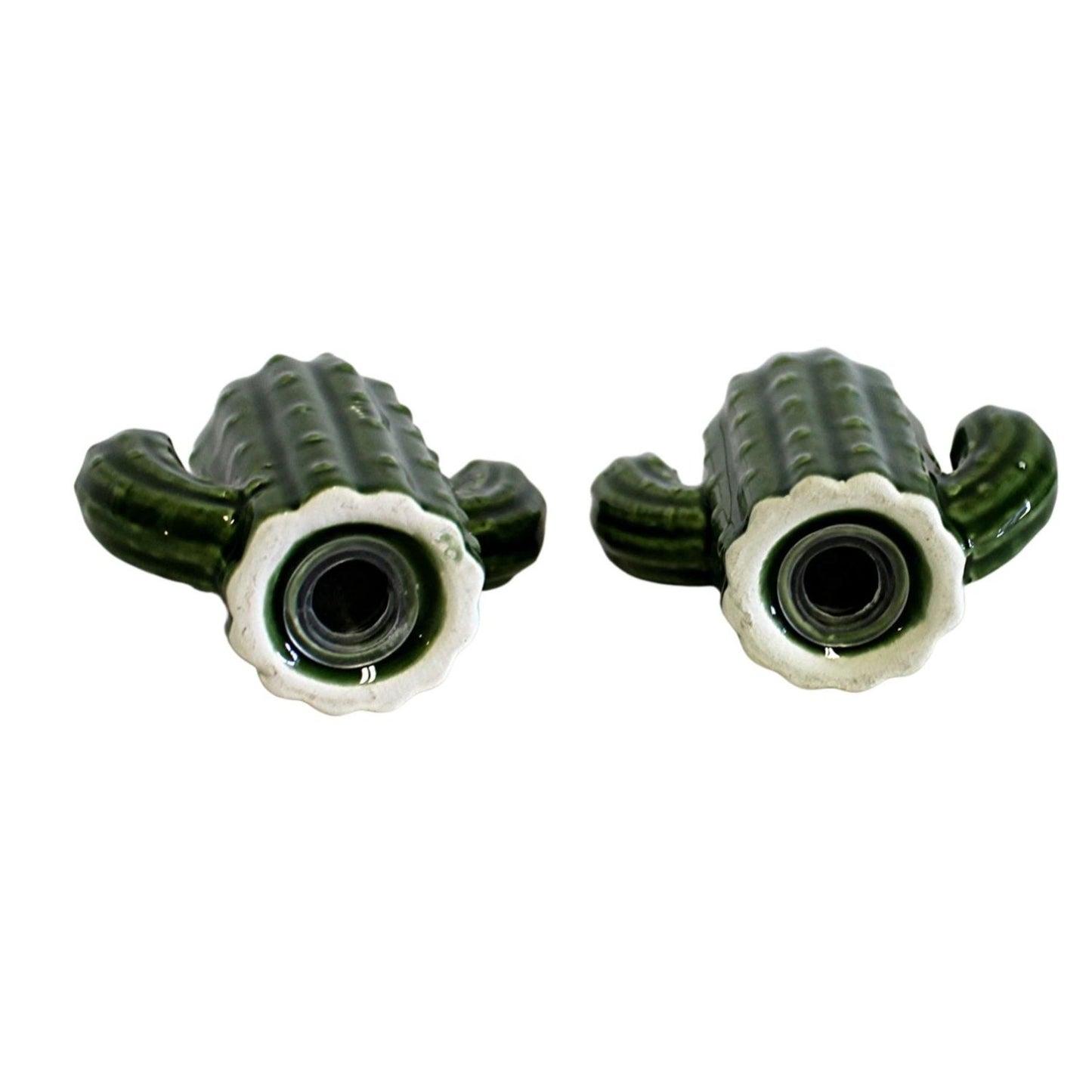Home Collection Cactus Salt and Pepper Shaker Set