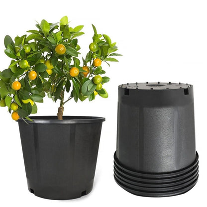 Home Collection Plastic Plant Pots Seed Starting Nursery Containers Pack of 5