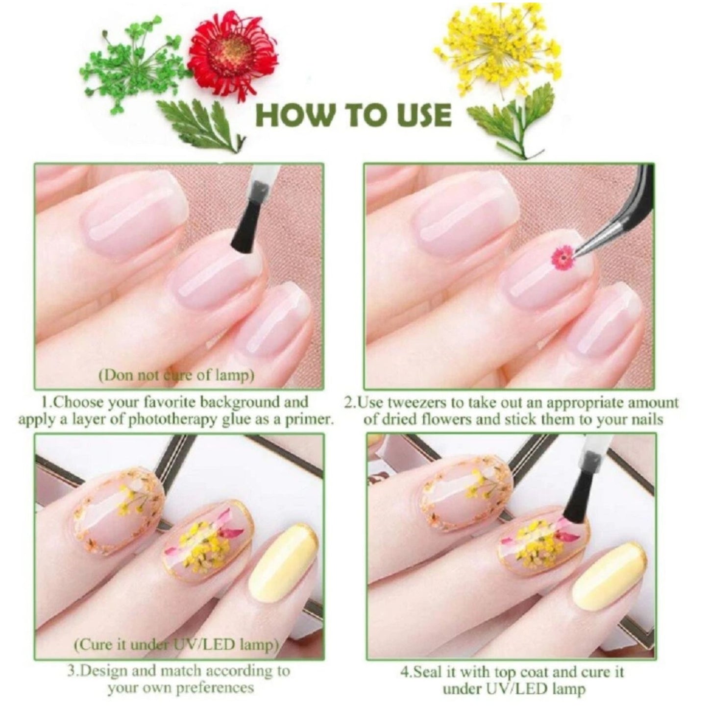 Home Collection 12Color Real Dried Flowers Nail Art Set