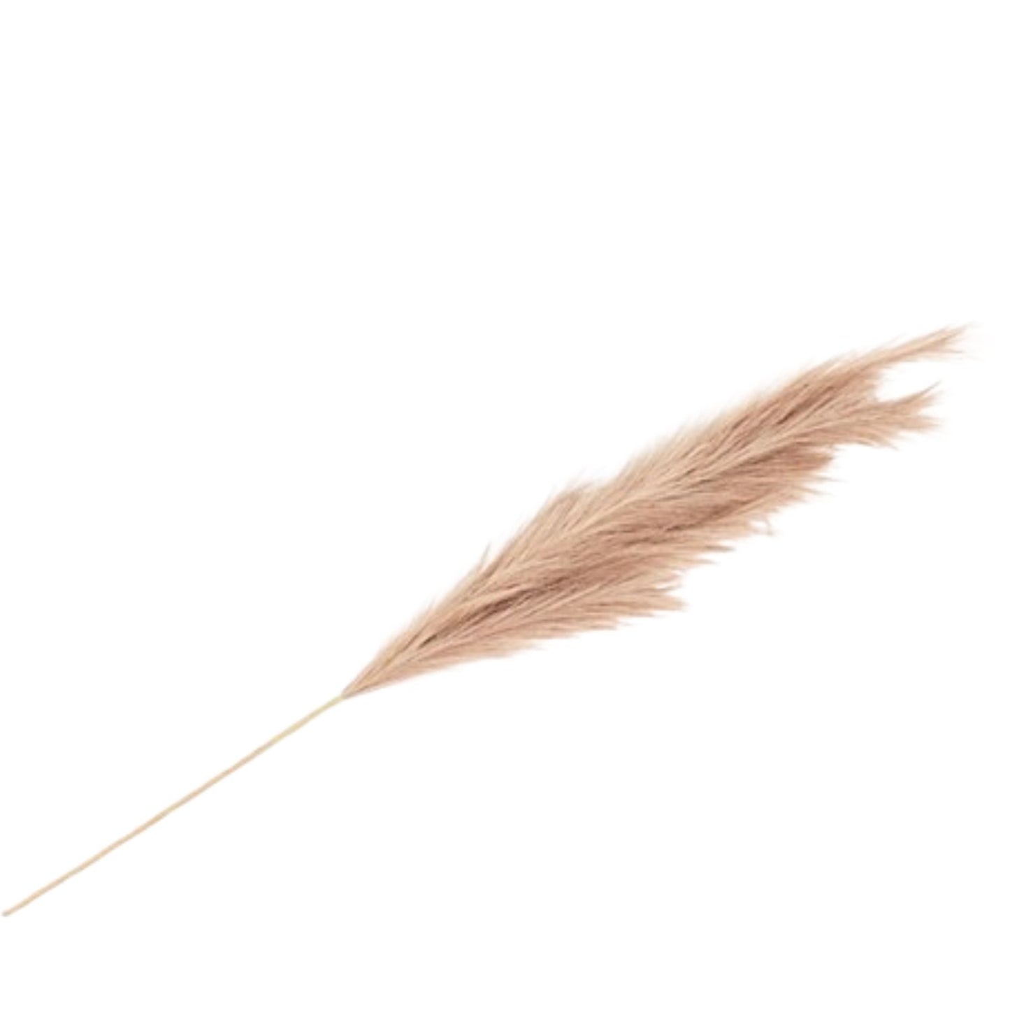 3Pcs Artificial Pampas Grass Plant Stems