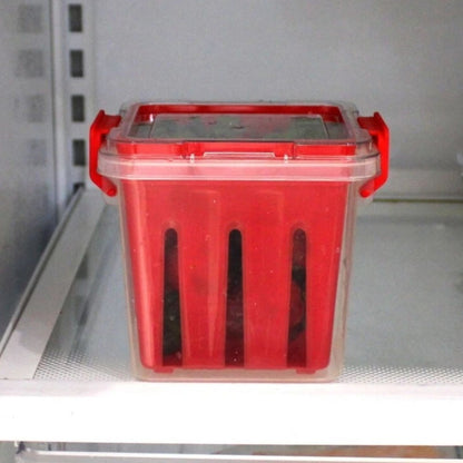 Home Collection Fruit and Vegetable Saver Storage Basket