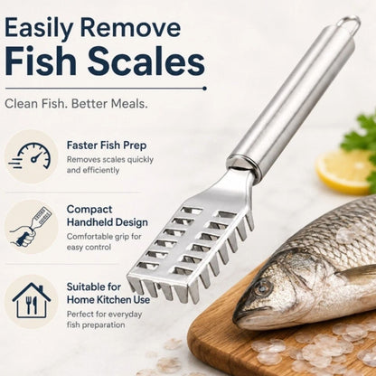 Home Collection Stainless Steel Fish Scaler Scraper Tool Seafood Scale Remover Brush Cleaner