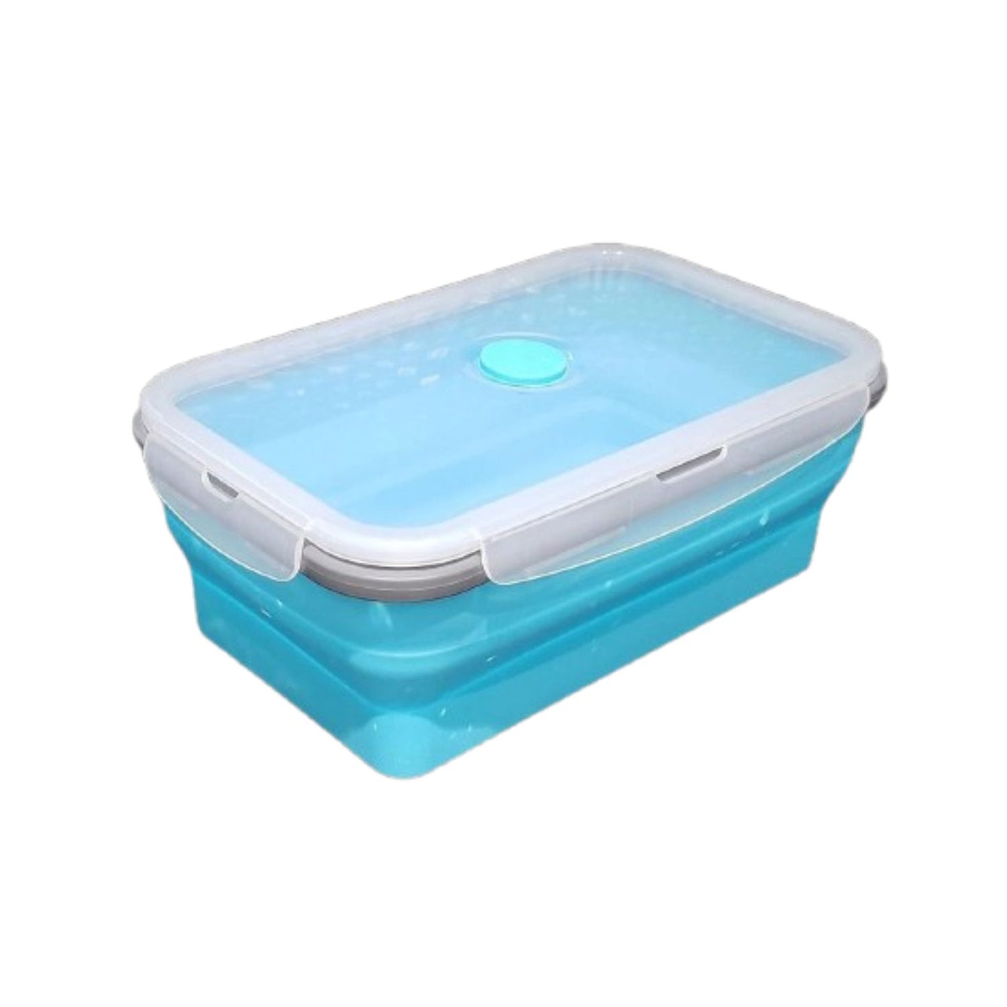 Home Collection Collapsible Silicone Food Storage and Bento Box