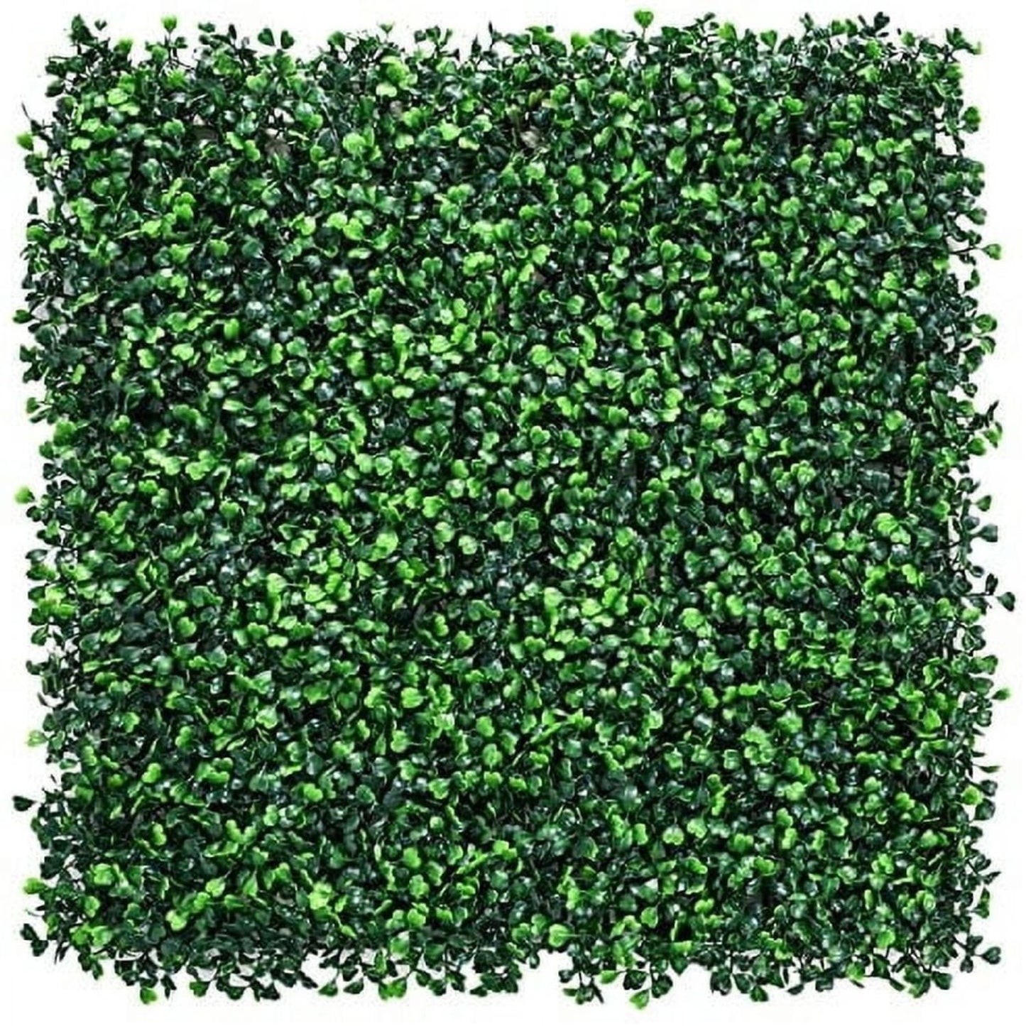 Home Collection 12Pcs Boxwood Grass Wall Panels 20x20"