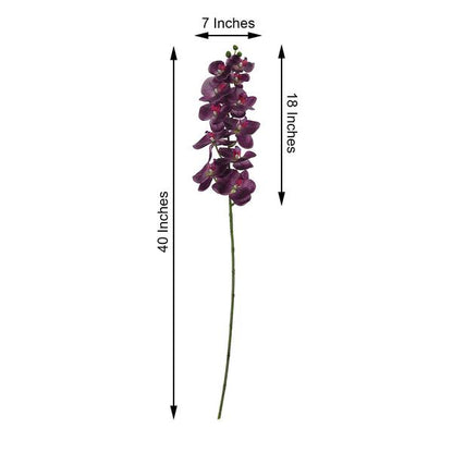Home Collection 2-Pack 40-Inch Artificial Silk Orchid Flower Stems
