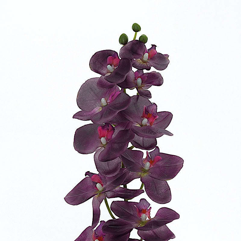 Home Collection 2-Pack 40-Inch Artificial Silk Orchid Flower Stems