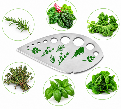 Home Collection 9-Hole Stainless Steel Herb Stripper