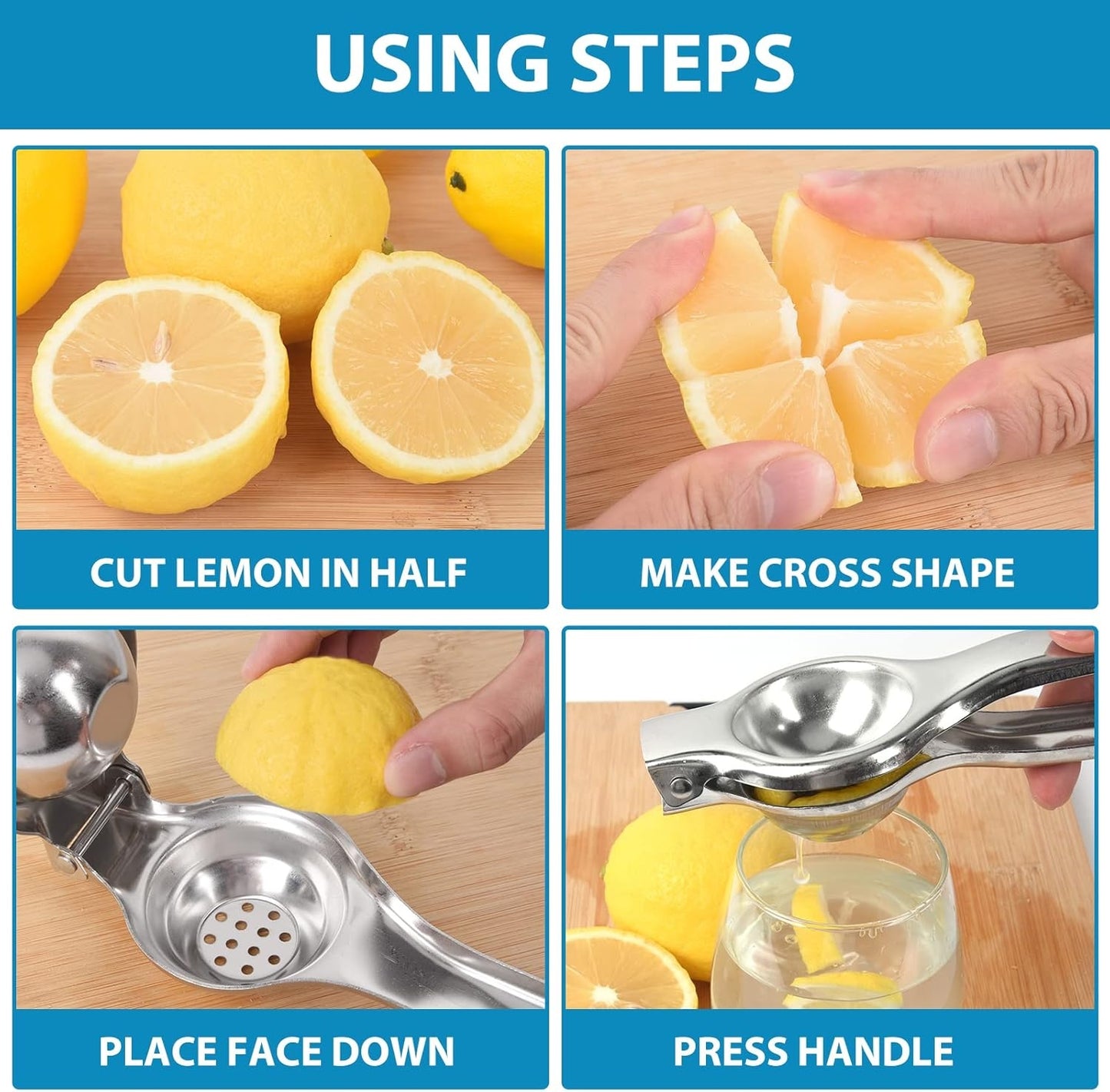 Home Collection Stainless Steel Manual Citrus Juicer