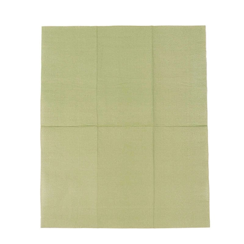 Home Collection 50 Pack 2-Ply Paper Dinner & Cocktail Napkins