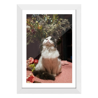 Home Collection Wall Mounted Solid Wood Picture Frame