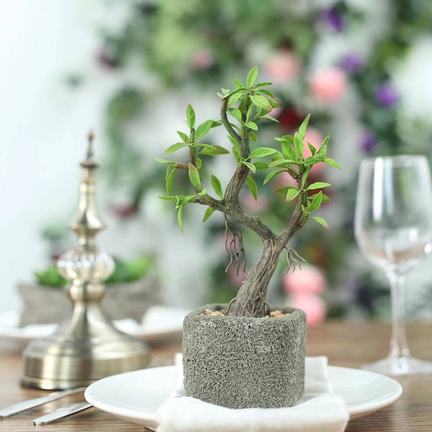 Home Collection Concrete Pot with Mini Willow Tree 9-Inch