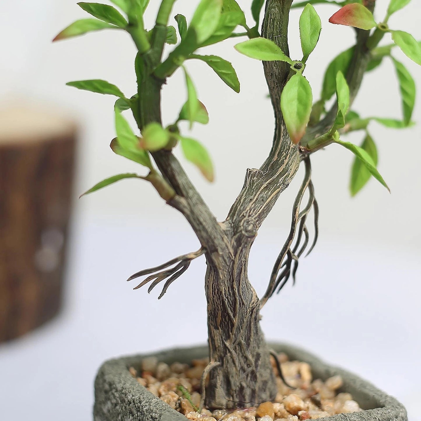 Home Collection Concrete Pot with Mini Willow Tree 9-Inch