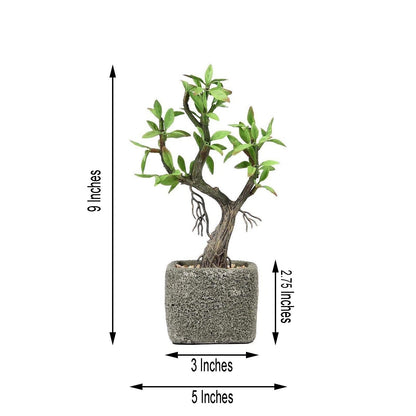 Home Collection Concrete Pot with Mini Willow Tree 9-Inch