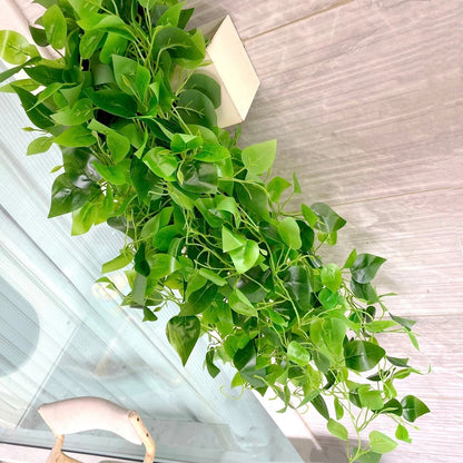 Home Collection Pack of 3 Green Silk Pothos Artificial Hanging Plants