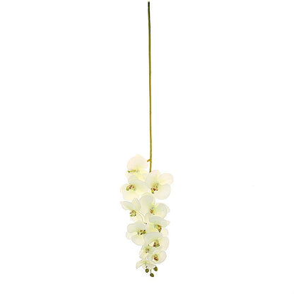 Home Collection 2-Pack 40-Inch Artificial Silk Orchid Flower Stems