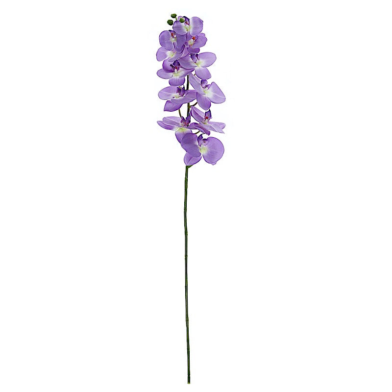 Home Collection 2-Pack 40-Inch Artificial Silk Orchid Flower Stems