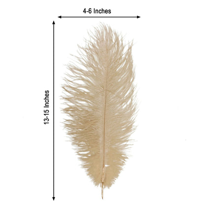 Home Collection 12-Piece Genuine Ostrich Feathers – 13"–15" Decorative Feathers for Centerpieces