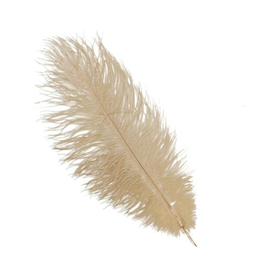 Home Collection 12-Piece Genuine Ostrich Feathers – 13"–15" Decorative Feathers for Centerpieces