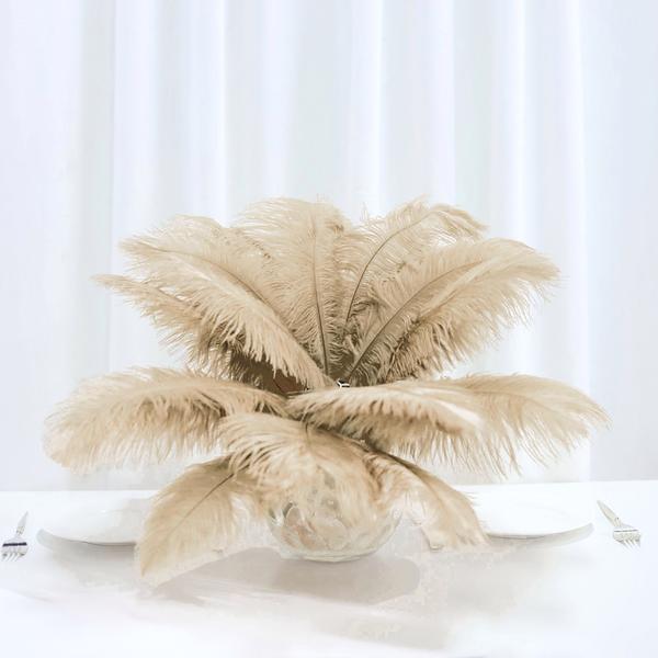 Home Collection 12-Piece Genuine Ostrich Feathers – 13"–15" Decorative Feathers for Centerpieces
