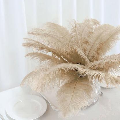 Home Collection 12-Piece Genuine Ostrich Feathers – 13"–15" Decorative Feathers for Centerpieces