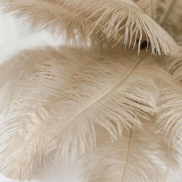 Home Collection 12-Piece Genuine Ostrich Feathers – 13"–15" Decorative Feathers for Centerpieces