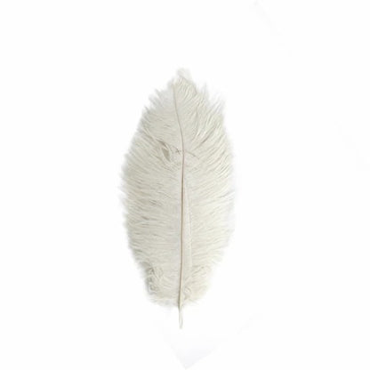 Home Collection 12-Piece Genuine Ostrich Feathers – 13"–15" Decorative Feathers for Centerpieces