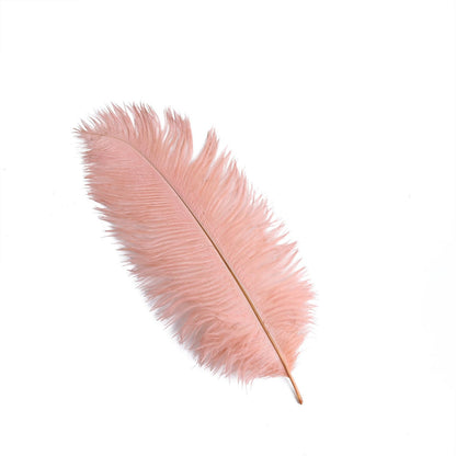 Home Collection 12-Piece Genuine Ostrich Feathers – 13"–15" Decorative Feathers for Centerpieces