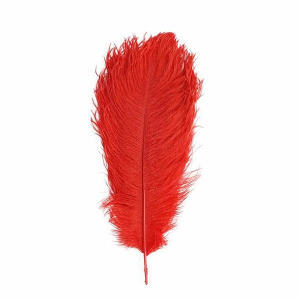 Home Collection 12-Piece Genuine Ostrich Feathers – 13"–15" Decorative Feathers for Centerpieces