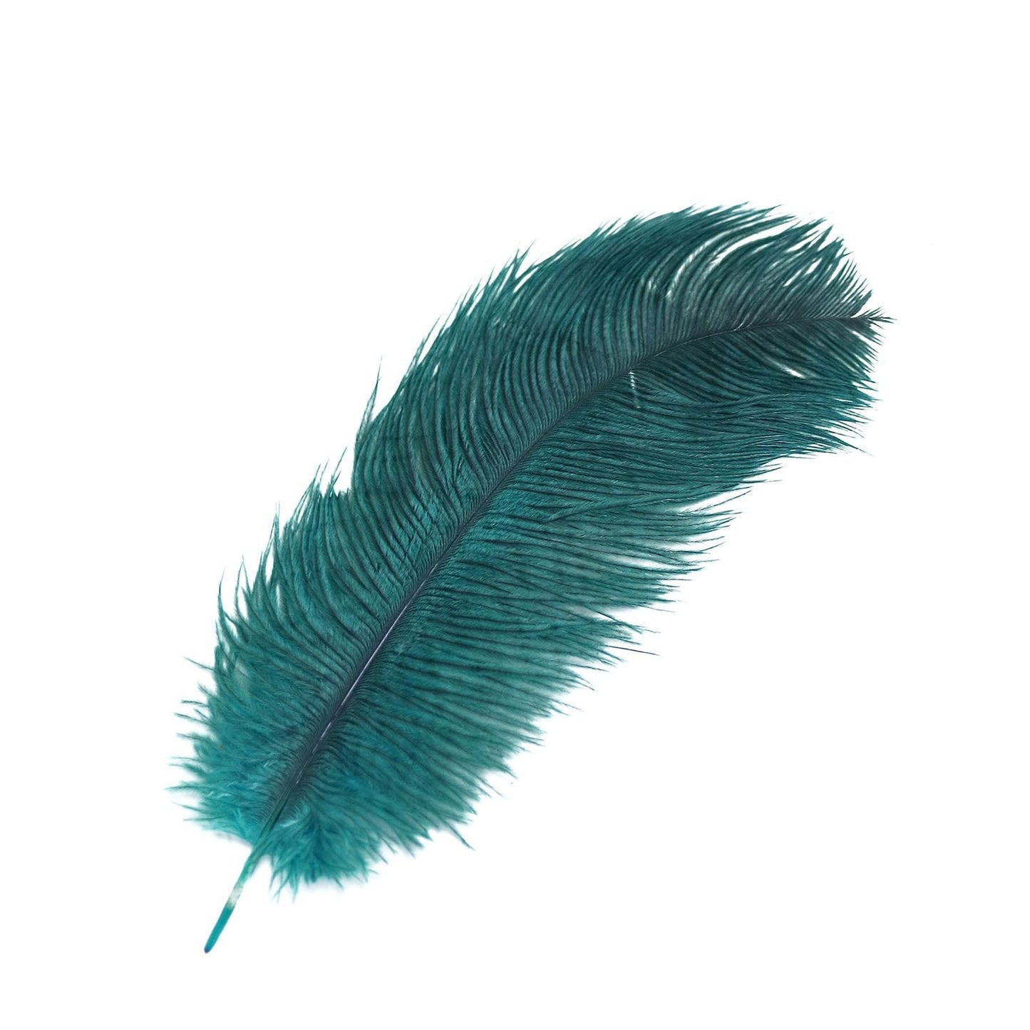 Home Collection 12-Piece Genuine Ostrich Feathers – 13"–15" Decorative Feathers for Centerpieces