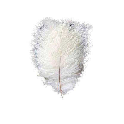 Home Collection 12-Piece Genuine Ostrich Feathers – 13"–15" Decorative Feathers for Centerpieces