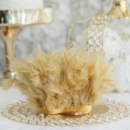 Home Collection 39" Natural Turkey Feather Trim with Satin Ribbon
