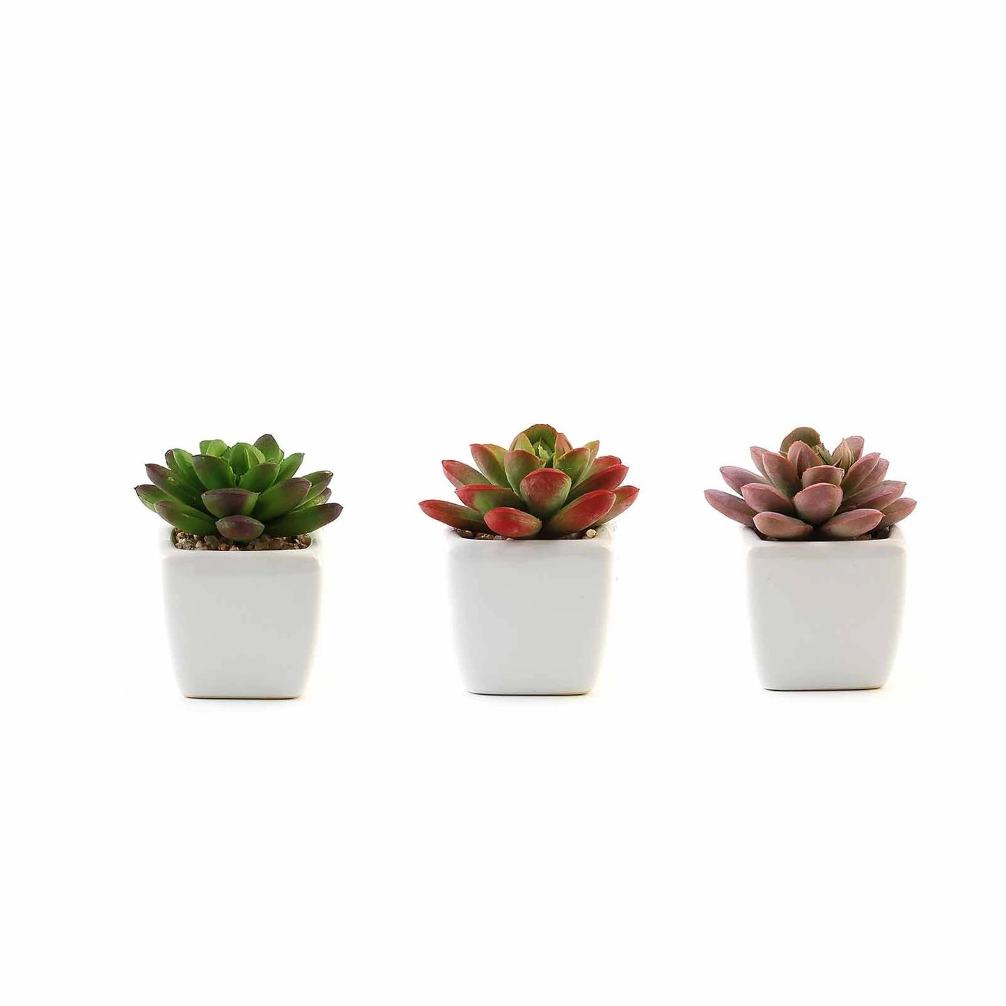 Home Collection Set of 3 Mini Faux Succulent Plants in Off-White Ceramic Pots – 3" Tall