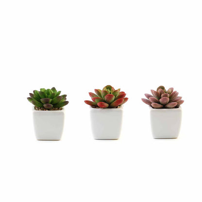 Home Collection Set of 3 Mini Faux Succulent Plants in Off-White Ceramic Pots – 3" Tall