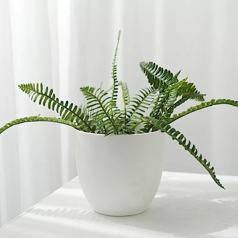 2-Piece 5.5" White Round Plastic Flower Pots
