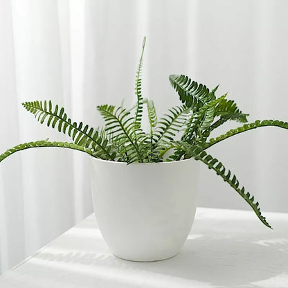 2-Piece 5.5" White Round Plastic Flower Pots