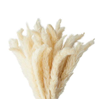 40-Piece Natural Dried Pampas Grass with White Ceramic Vase