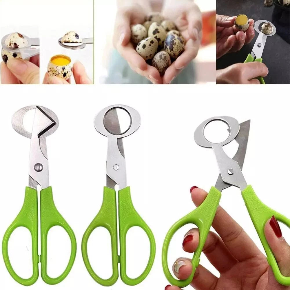 Quail Egg Scissors – Stainless Steel Eggshell Cutter Tool