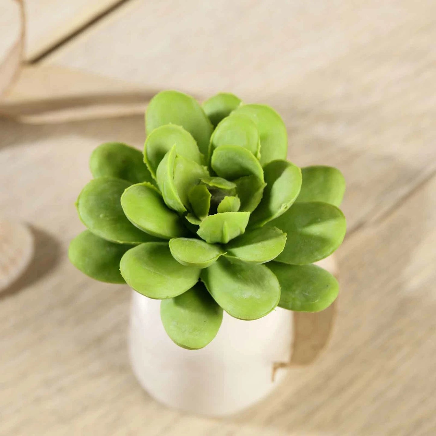 Home Collection 3PCS 3" Green Faux Succulent Sprays