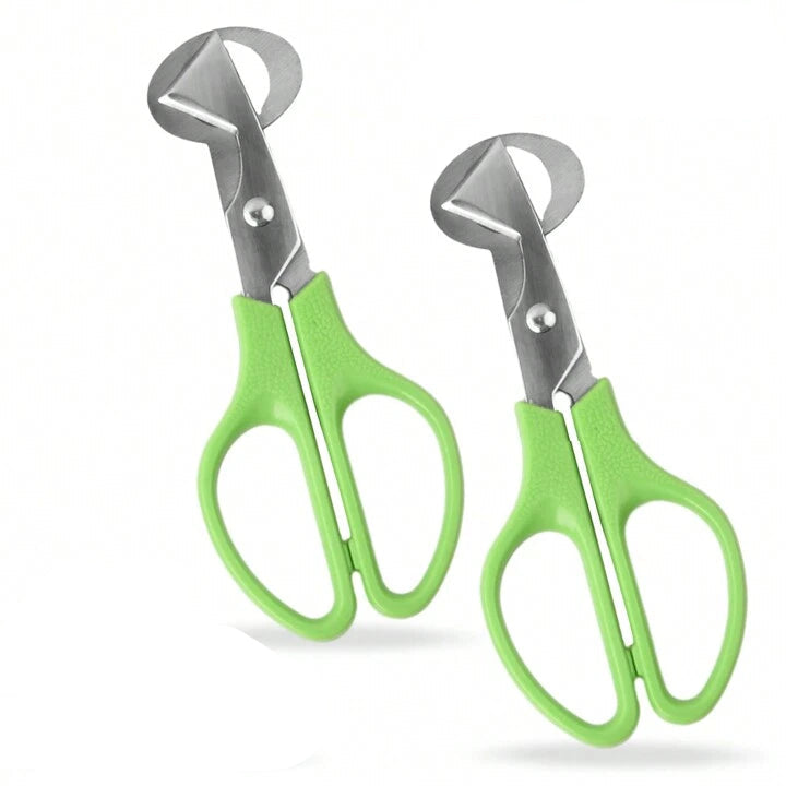 Quail Egg Scissors – Stainless Steel Eggshell Cutter Tool