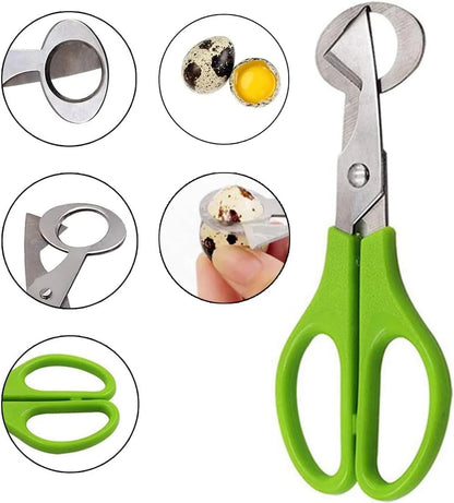 Quail Egg Scissors – Stainless Steel Eggshell Cutter Tool