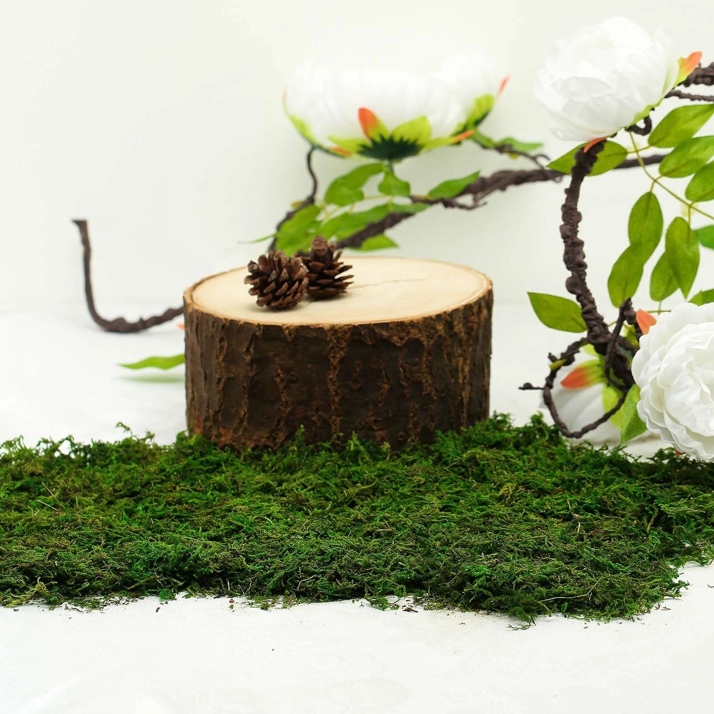 Home Collection 50g Natural Green Reindeer Moss