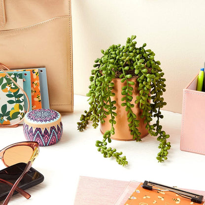 Potted Artificial Succulent – Modern Home Decor
