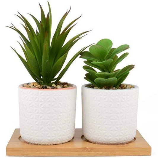 Artificial Succulent Plants in Ceramic Pots with Bamboo Tray