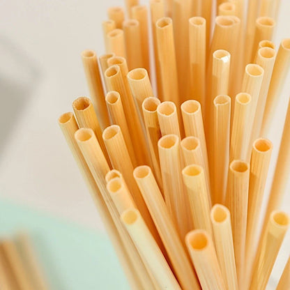 Home Collection 100-Pack 6” Natural Wheat Biodegradable Drinking Straws