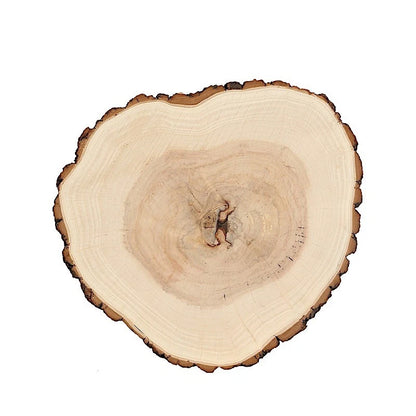 Home Collection 14–18" Natural Round Wooden Slice