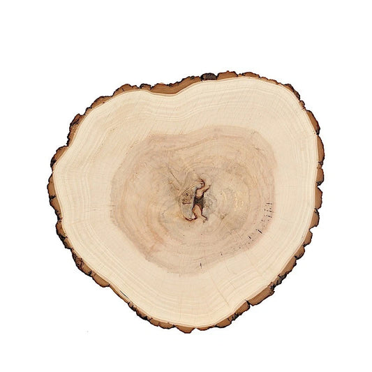 Home Collection 14–18" Natural Round Wooden Slice